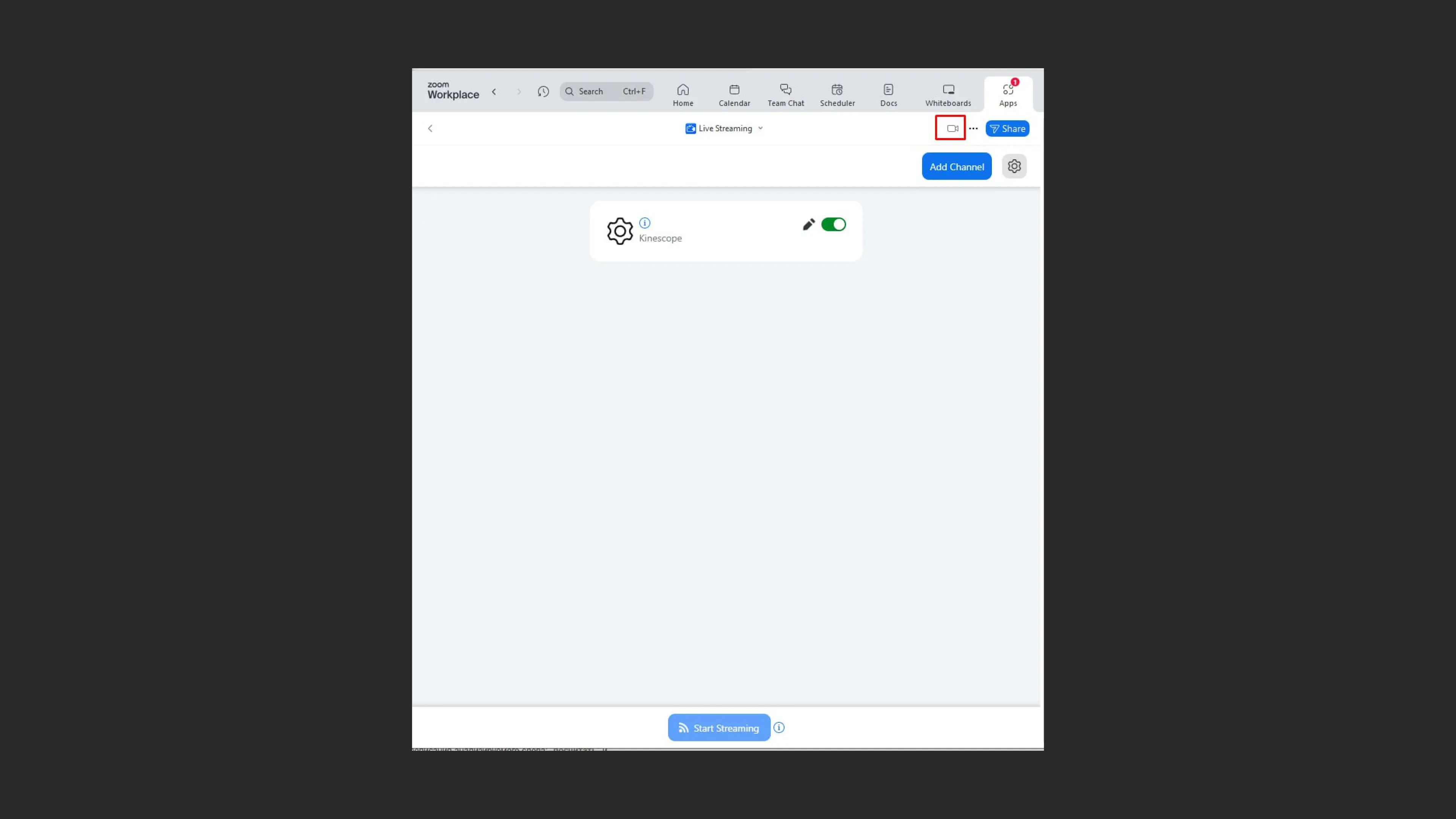 Окно трансляции в Zoom